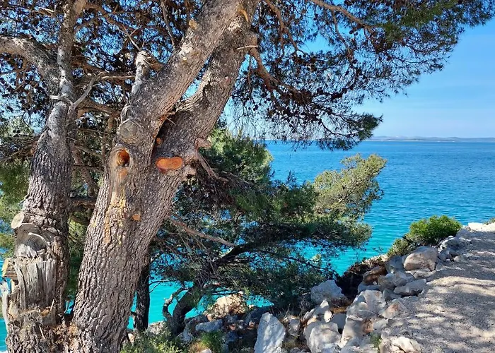 아파트 Stipe 드라게