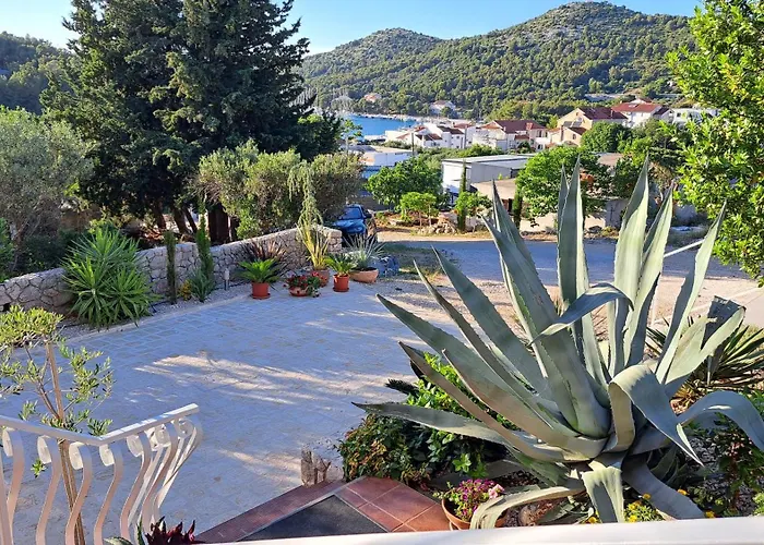 Stipe 아파트 드라게